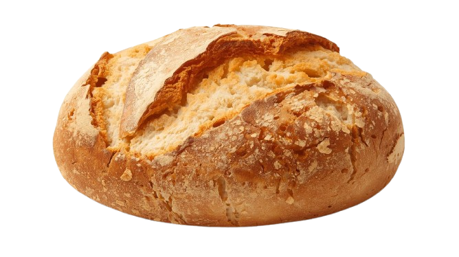 Bread