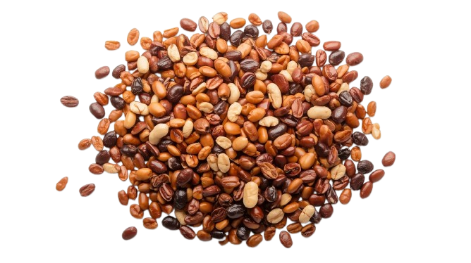 Legumes
