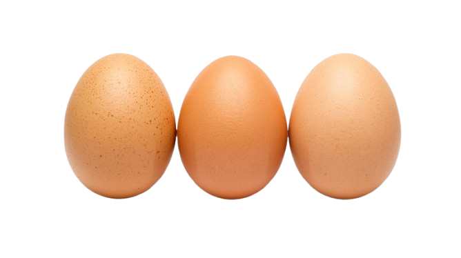 eggs